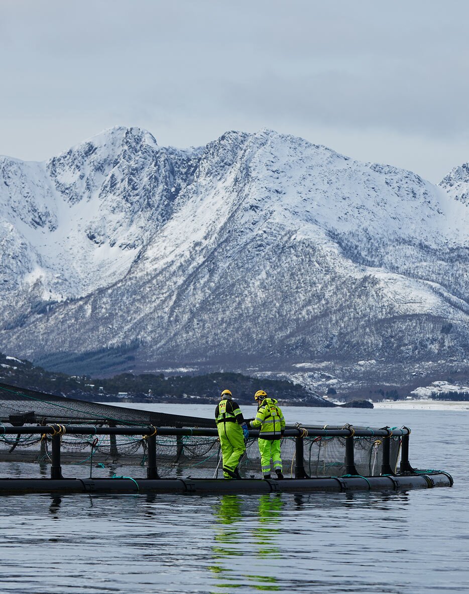Salmon flies to bring to Nothern Norway